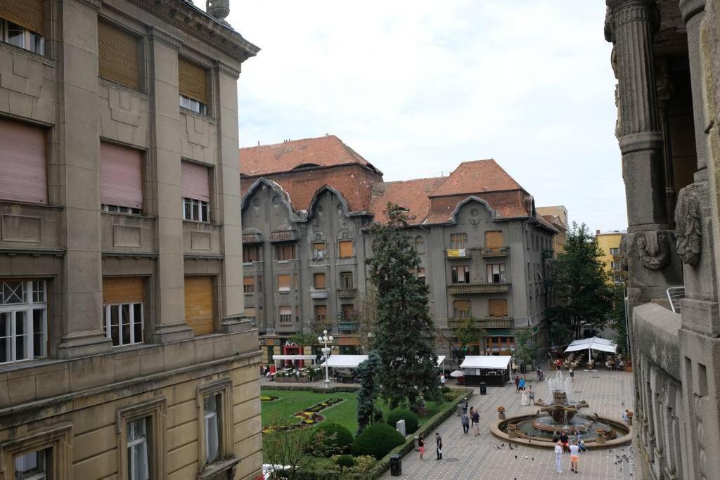 Historic In Loeffler Palace * Timişoara