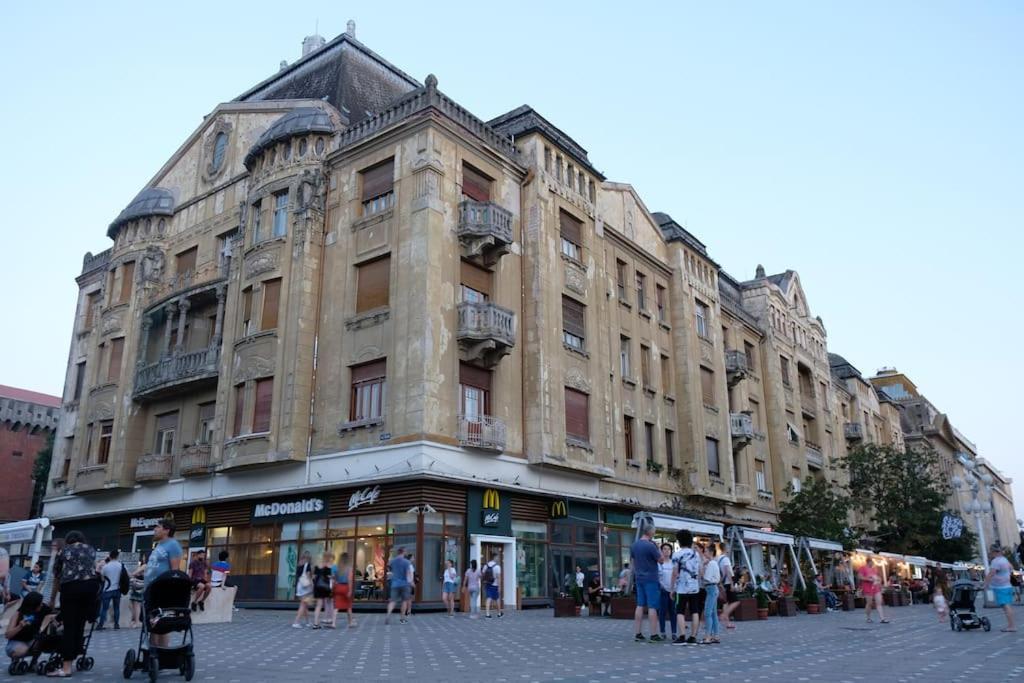 Apartment Historic In Loeffler Palace Timişoara